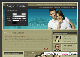 個性婚戀交友類型網頁CSS模板08