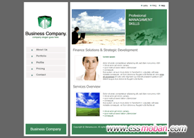 绿色的企业网站CSS模板