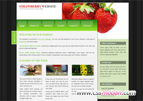 食品類企業網站模板