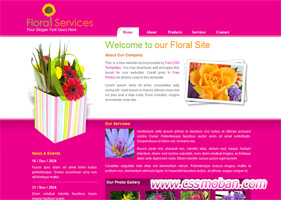 粉红色花类企业网站模板
