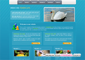 蓝色海洋企业网站模板