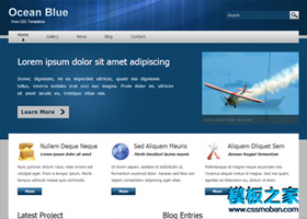 蓝色严肃商务风格网页模板