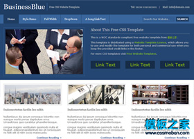 纯蓝色严肃商业网站模板