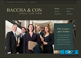 精致大氣的律師行業企業網站模板