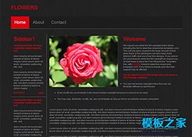黑色模糊背景花卉企业CSS模板