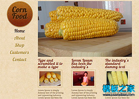 漂亮的玉米食品展示html5模板