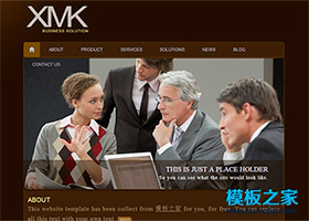棕色漂亮的大图展示商务网站模板
