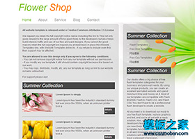 簡潔綠色花店商城網站模板下載