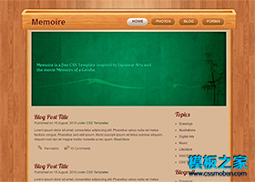 漂亮的棕色木紋3D風格網站模板