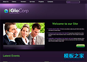 紫色高光漂亮精美的商务网页模板