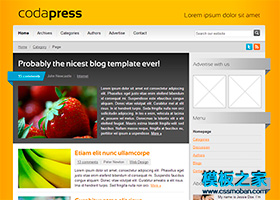 橙色漂亮的web20科技企業網頁模板