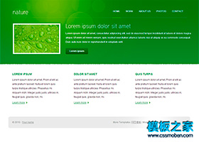 綠色夢幻背景漂亮的企業網站模板