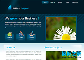 藍色硬朗商務風格企業網站模板