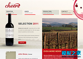 红色时尚大气红酒企业网站html5模板