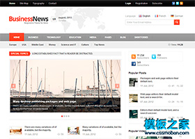 紅灰色簡潔新聞媒體雜志商業網站模板