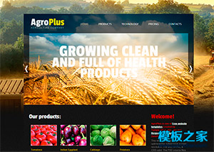 漂亮的金色农业农场响应式企业网站模板