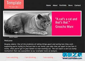 純色漂亮的寵物貓企業網站模板