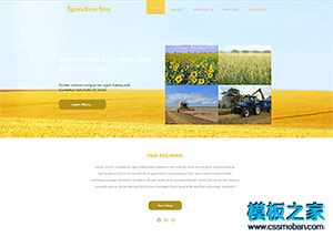 金黃色大氣農業牧場企業網站模板