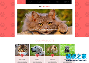 红色背景宠物世界bootstrap网页模板