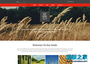 紅色導航農業農產品企業網站模板