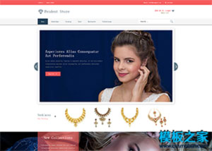 蓝色珠宝奢侈品购物商城网站模板