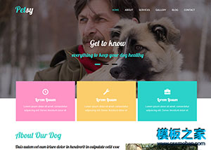 寵物美容企業網站整站模板下載