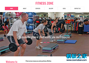 粉色简洁线条运动健身会所网站模板