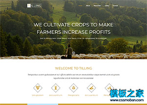 農業蔬果培育技術企業網站模板