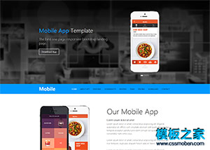 蓝色漂亮Mobile App开发企业官网模板