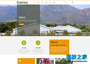 鄉村旅游農家樂企業網站模板