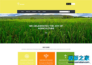 农产品农业种植项目网页模板