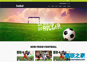 football足球運動比賽html5模板