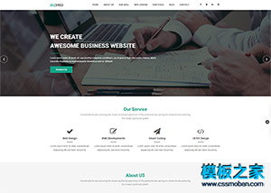 BizPro单页商务投资公司网站模板