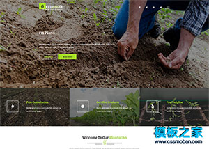 蔬菜水果培育農產品企業網站模板