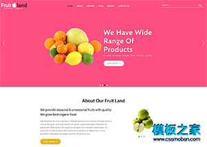 純色漂亮水果種植批發企業網站模板