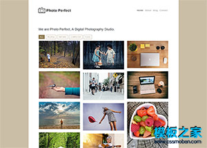 Photo Perfect相冊圖庫個人網站模板