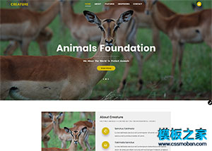 动物世界专题网站模板
