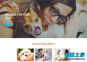 爱犬俱乐部企业网站模板