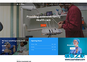 大健康医疗设备生产企业网站模板