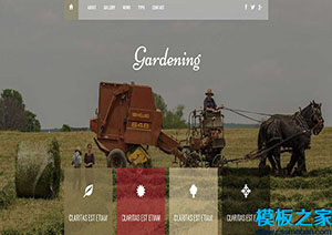 Gardening園藝家庭作業響應式web網站模板