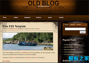 old blog深紅色與黑色結合中間三列頁腳設計網站模板