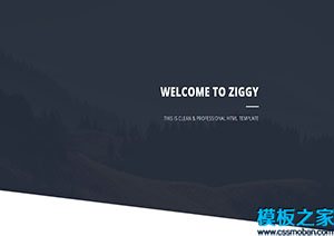 Ziggy黑白UI個人生活主題響應式網站模板