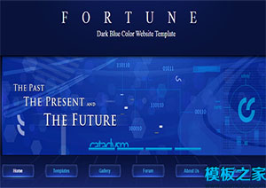 fortune神秘精致深藍色主題多列布局網站模板