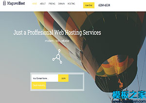 Maguwohost热气球虚拟主机服务网站主题模板