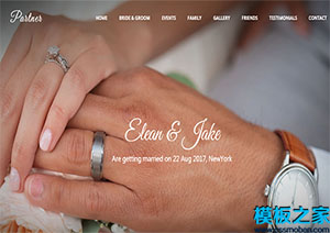 partner浪漫唯美獨特畫廊單頁婚禮響應式網站模板
