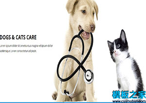 Veterinary蓝色引导式宠物护理专业团队诊所网站模板