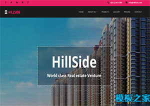 Hillside精致奢华房地产建设公司首页网站模板
