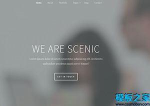 Scenic时尚可视化效果网络代理商web前端网站模板