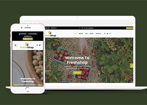清新健康農產品銷售電子商務bootstarp網站模板