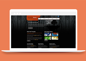 黑色背景图文排版大气企业宣传产品介绍网站模板